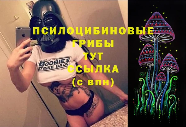 не бодяженный Строитель